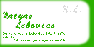 matyas lebovics business card